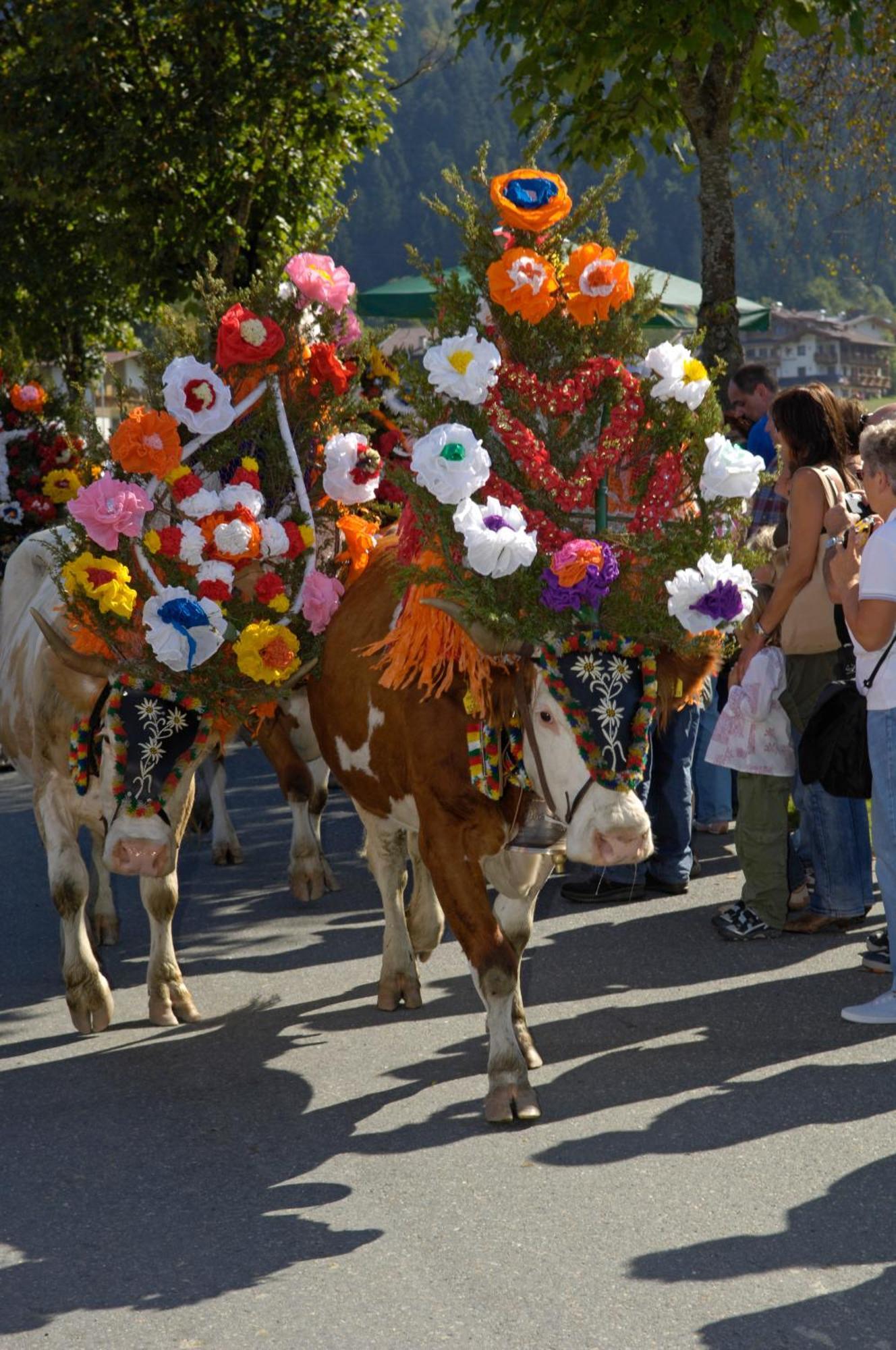 Ferienhotel Tyrol Soell Am Wilden Kaiser Dış mekan fotoğraf